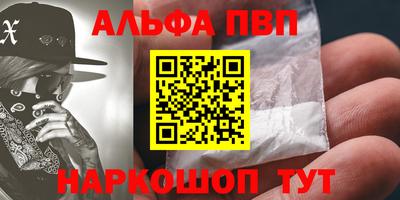 Альфа ПВП Кингисепп
