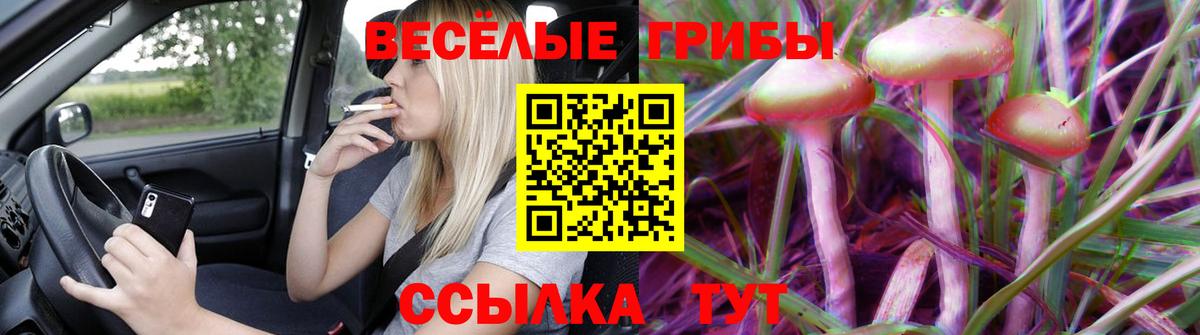 Псилоцибиновые грибы Magic Shrooms Волгоград